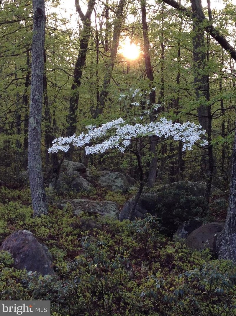 1002 Butternut Dr, Yellow Spring WV  26865-9042 exterior