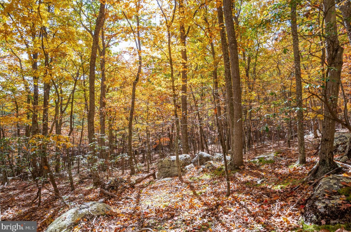 1002 Butternut Dr, Yellow Spring WV  26865-9042 exterior