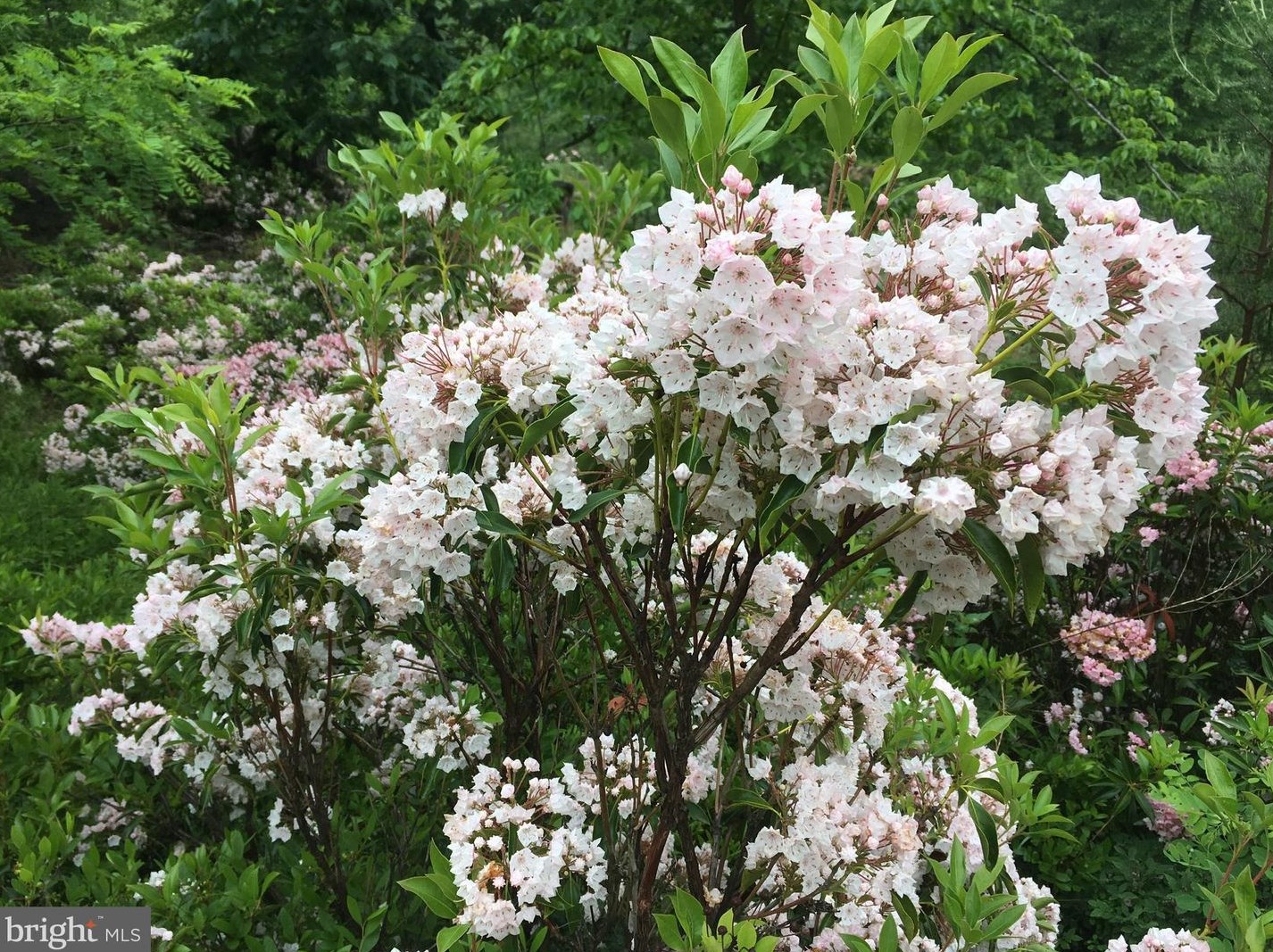 1002 Butternut Dr, Yellow Spring WV  26865-9042 exterior