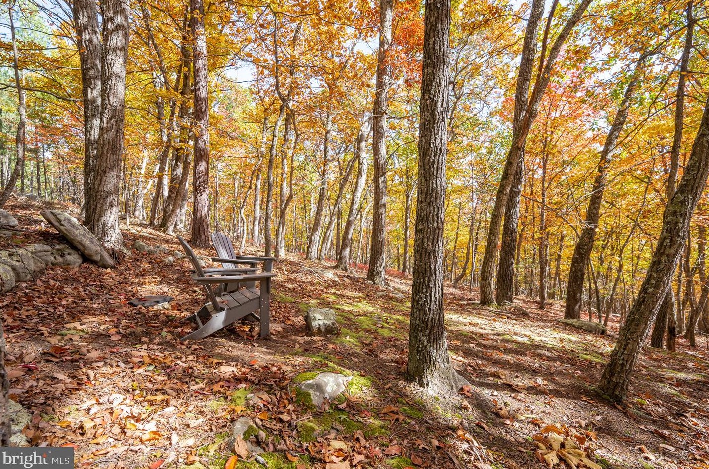 1002 Butternut Dr, Yellow Spring WV  26865-9042 exterior