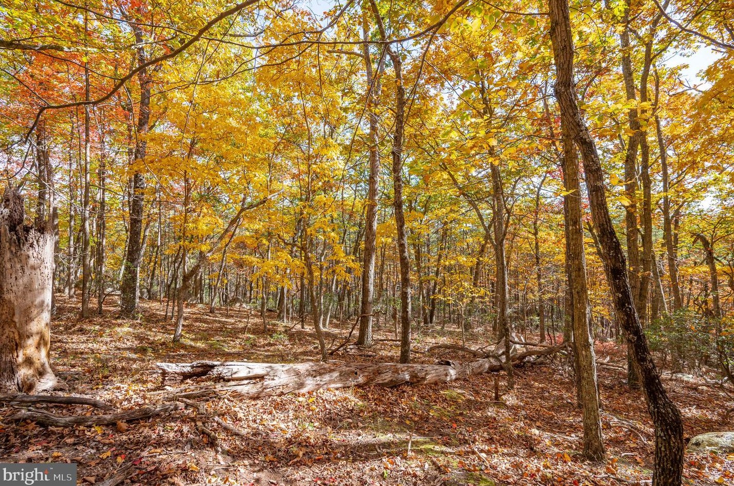 1002 Butternut Dr, Yellow Spring WV  26865-9042 exterior