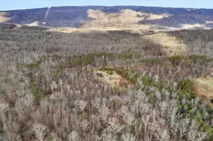 1929 Lake Ferndale Dr, Levels, WV 25431 - Photo 29