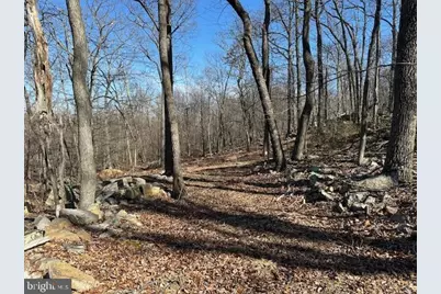 2.08 Acres Deer Path Road, Augusta, WV 26704 - Photo 11