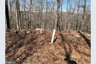 2.08 Acres Deer Path Road, Augusta, WV 26704 - Photo 3