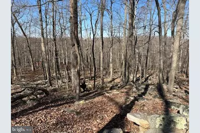 2.08 Acres Deer Path Road, Augusta, WV 26704 - Photo 13