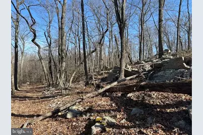 2.08 Acres Deer Path Road, Augusta, WV 26704 - Photo 9