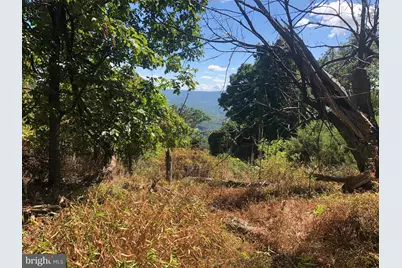 84 Peaks View Drive, Yellow Spring, WV 26865 - Photo 47