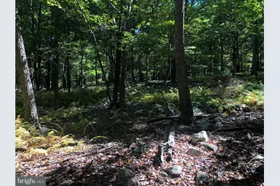 84 Peaks View Drive, Yellow Spring, WV 26865 - Photo 41