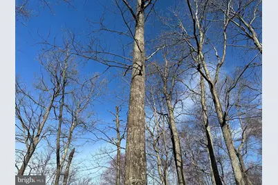 84 Peaks View Drive, Yellow Spring, WV 26865 - Photo 25