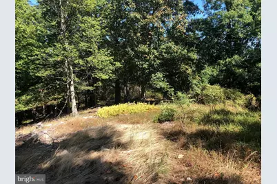 84 Peaks View Drive, Yellow Spring, WV 26865 - Photo 49