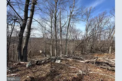 84 Peaks View Drive, Yellow Spring, WV 26865 - Photo 13