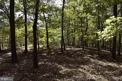 Lot 5 Private Ranch Road, Romney, WV 26757 - Photo 7