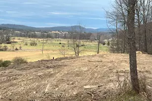 Tbd Hummingbird Ln, Capon Bridge, WV 26711 - Photo 1