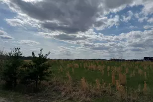 20 Sleepy Meadows Trail, Augusta, WV 26704 - Photo 5