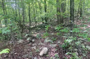 840 Falconwood Dr, Paw Paw, WV 25434 - Photo 1