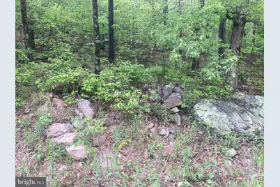 840 Falconwood Drive, Paw Paw, WV 25434 - Photo 11