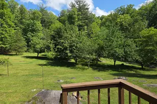 65 Cary Ct, Capon Bridge, WV 26711 - Photo 71