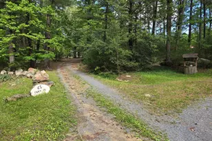 65 Cary Ct, Capon Bridge, WV 26711 - Photo 87