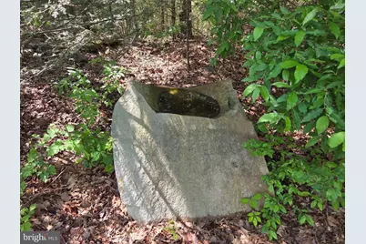 65 Cary Court, Capon Bridge, WV 26711 - Photo 35