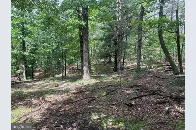 2.23 Ac Doe Trail, Springfield, WV 26763 - Photo 7