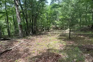 2 23 Ac Doe Trail, Springfield, WV 26763 - Photo 1