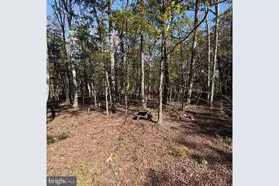 979 Ritter Drive, Capon Bridge, WV 26711 - Photo 15