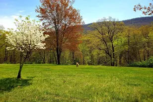 313 Wright Rdg, Rio, WV 26755 - Photo 17