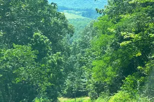 313 Wright Rdg, Rio, WV 26755 - Photo 87