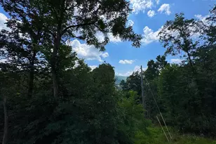 313 Wright Rdg, Rio, WV 26755 - Photo 65