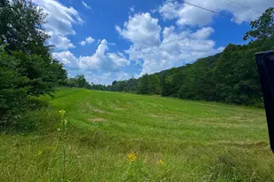 313 Wright Rdg, Rio, WV 26755 - Photo 43