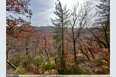 444 Nugget Drive, Capon Bridge, WV 26711 - Photo 17