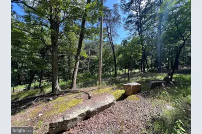 634 Island Ridge Road, Purgitsville, WV 26852 - Photo 3