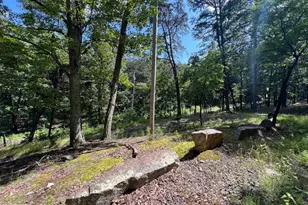 634 Island Ridge Rd, Purgitsville, WV 26852 - Photo 3