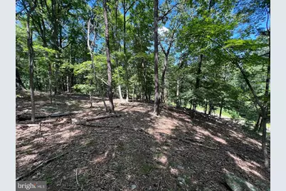 634 Island Ridge Road, Purgitsville, WV 26852 - Photo 27