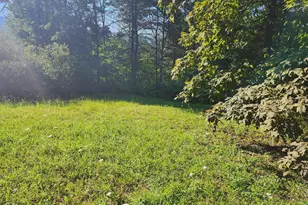 Lot 79 Mystic Mountain Blvd, Delray, WV 26714 - Photo 1