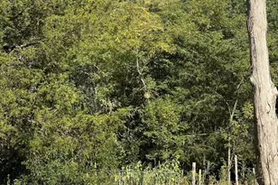 [Address not provided], Levels, WV 25431 - Photo 11