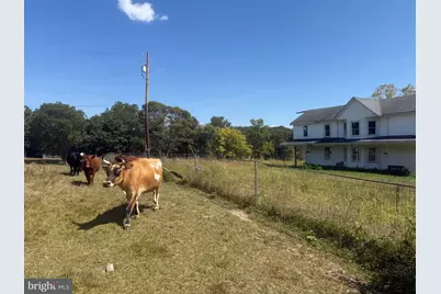 95 Brill Lane, Augusta, WV 26704 - Photo 11