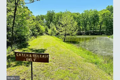 2370 Kerns School Road, Springfield, WV 26763 - Photo 43