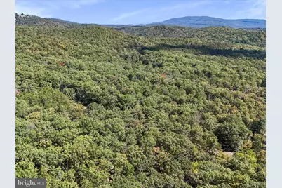 2370 Kerns School Road, Springfield, WV 26763 - Photo 35