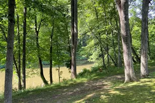 100 Bubbling Spring Rd, Capon Bridge, WV 26711 - Photo 13