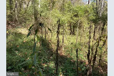 Lot 2 Old Mill Road, Capon Bridge, WV 26711 - Photo 9