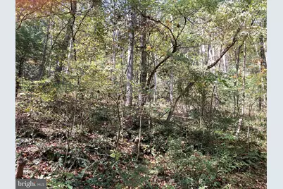 Lot 2 Old Mill Road, Capon Bridge, WV 26711 - Photo 25