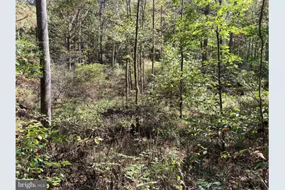 Lot 2 Old Mill Road, Capon Bridge, WV 26711 - Photo 19