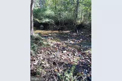 Lot 2 Old Mill Road, Capon Bridge, WV 26711 - Photo 3