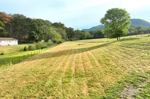 1 50 Ac Hickory Hill Rd, Purgitsville, WV 26852 - Photo 1