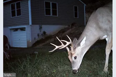 3837 Graces Cabin, Springfield, WV 26763 - Photo 69