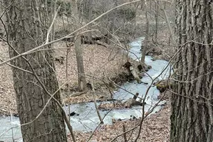 3837 Graces Cabin, Springfield, WV 26763 - Photo 61