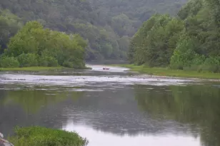 3837 Graces Cabin, Springfield, WV 26763 - Photo 49