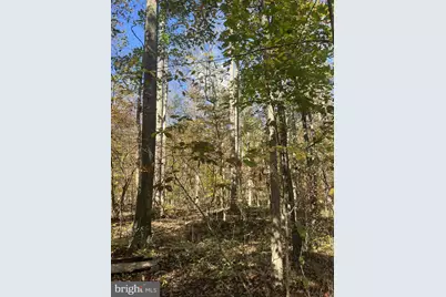 Lot 3B Mack Road, Augusta, WV 26704 - Photo 3
