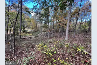 Lot 6 Deep Run Hollow Road, Delray, WV 26714 - Photo 9